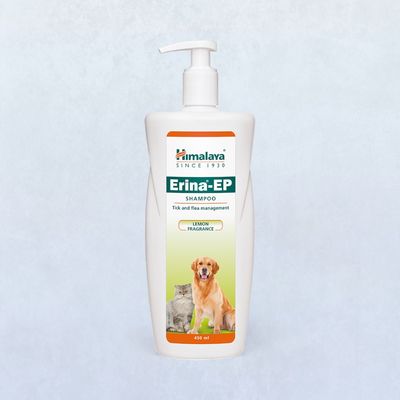 Himalaya Erina-Ep Shampoo India