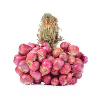 Gourmet Garden Organic Onion Sambar