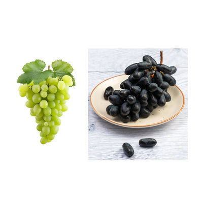 Grapeful picks