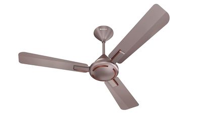 Havells Ambrose ES Ceiling Fan