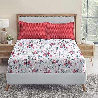 Mytrident Urban Comfort Queen Bedsheet - Sunset Magenta