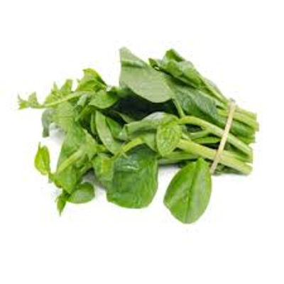 Malabar Spinach