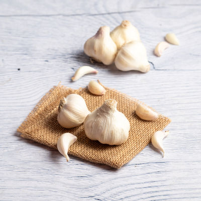 Garlic