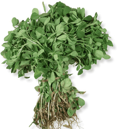 Fenugreek (Methi) 200 g Combo