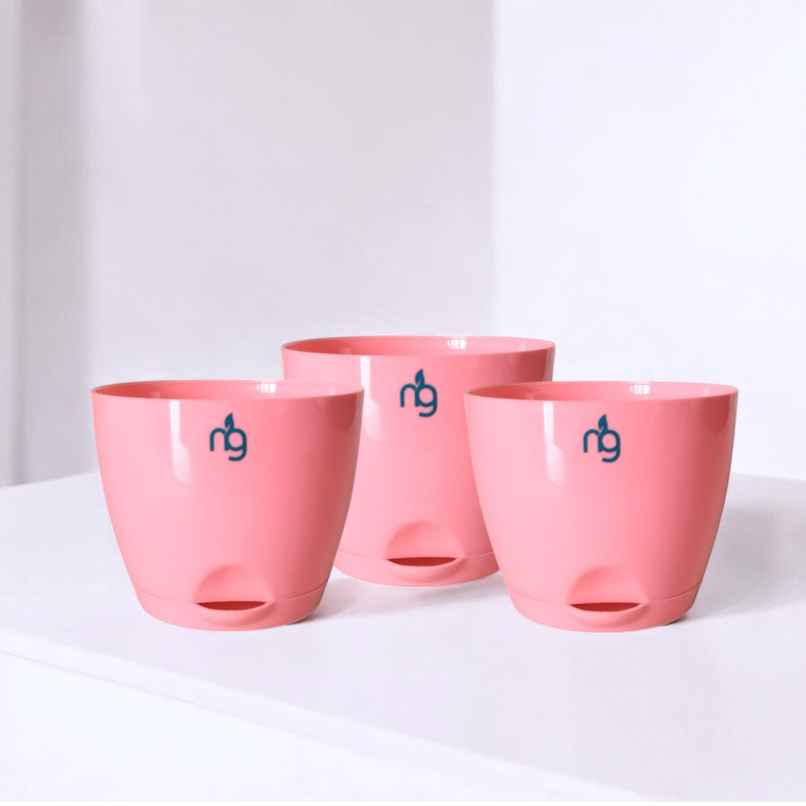 Nurturing Green - Self Watering Pots | Set of 3 | Peach | Size: 8cm x 6.5cm | Plant Pots with Tray Nurturing Green - Self Watering Pots | Set of 3 | Peach | Size: 8cm x 6.5cm | Plant Pots with Tray
