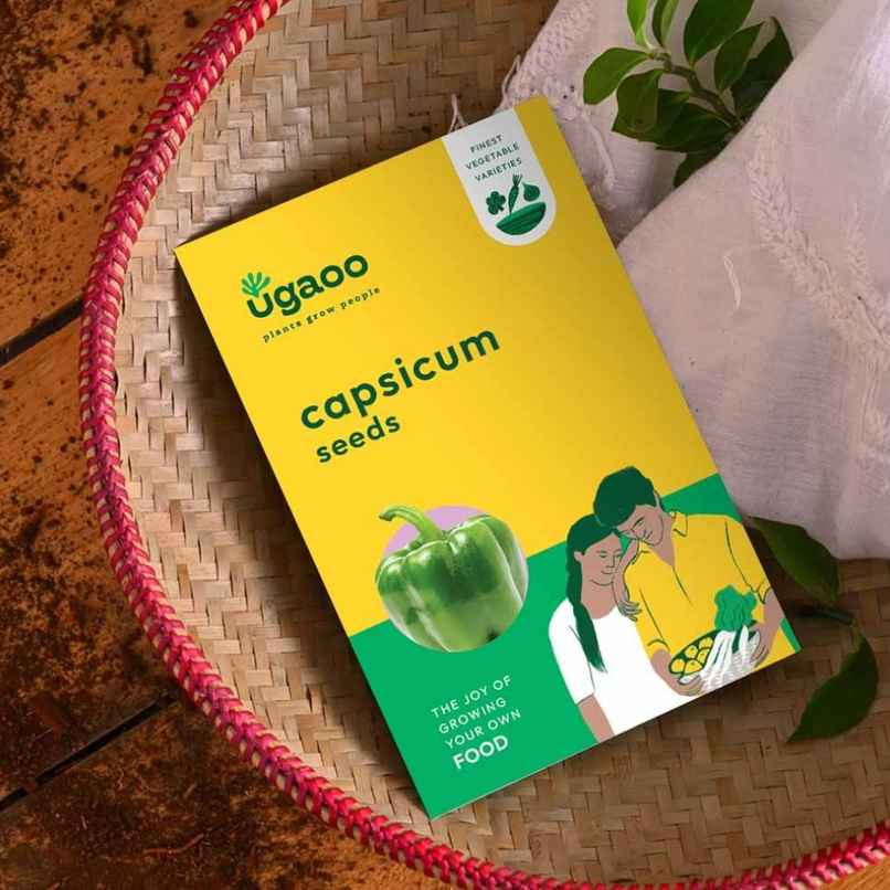 Ugaoo Capsicum Seeds