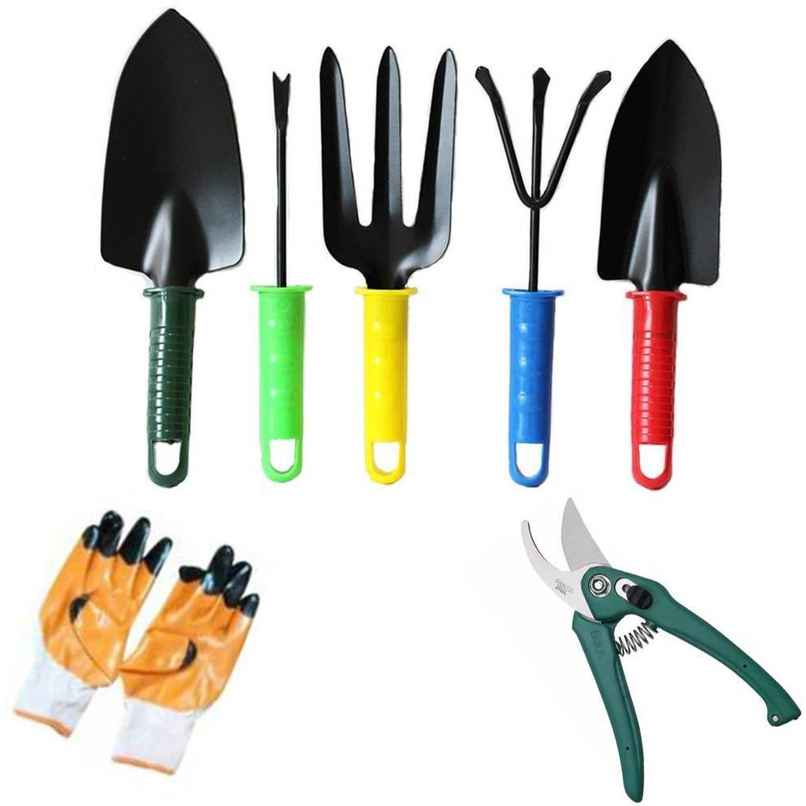 Daluci Gardening Tools Set - Weeder | Cultivator | Trowel | Fork | Pruner and Gloves