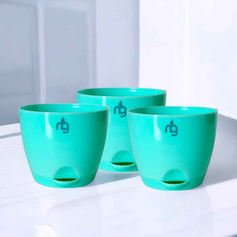 Nurturing Green - Self Watering Pots | Set of 3 | Sea Green | Size: 8cm x 6.5cm | Pots with Tray Nurturing Green - Self Watering Pots | Set of 3 | Sea Green | Size: 8cm x 6.5cm | Pots with Tray