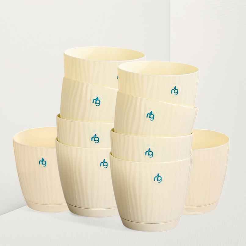 Nurturing Green - Self Watering Pots for Plants | Set of 10 | Ivory | Size: 9.5cm x 8.5cm Nurturing Green - Self Watering Pots for Plants | Set of 10 | Ivory | Size: 9.5cm x 8.5cm
