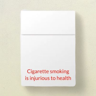 Marlboro Vista Forest Fusion Cigarettess