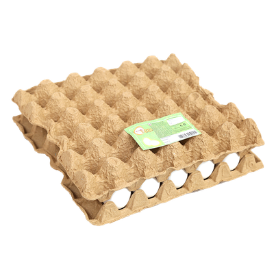 Fresh White Eggs