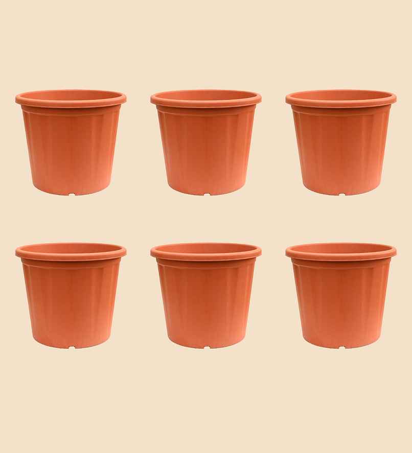 Ugaoo Uv Treated Gardening Brown Plastic Pots -10 Inch | Set Of 6