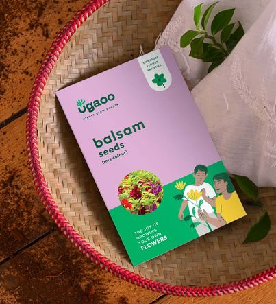 UGAOO Balsam Flower Seeds (Green, Pack of 200)