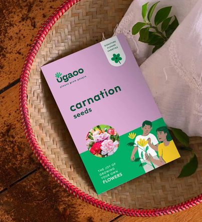 UGAOO Carnation Flower Seeds (Pinkish Purple, Pack of 200)