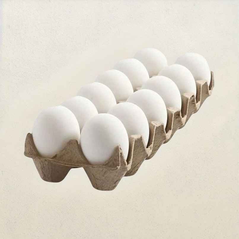 Vijay White Eggs