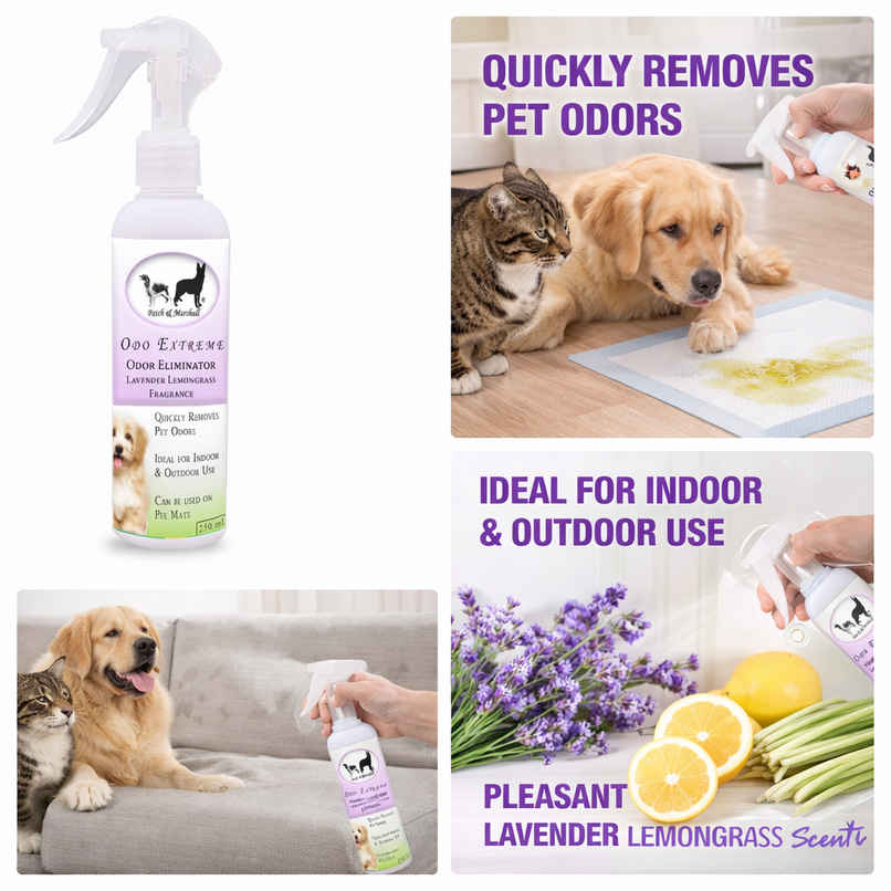 Patch & Marshall Odor Remover | Lavender & Lemongrass