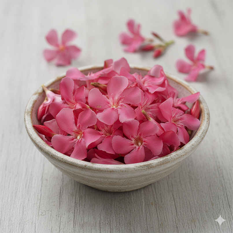 Oleander (Kanagale/Arali)