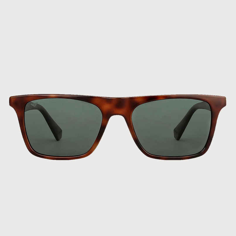 Vincent Chase By Lenskart Unisex Wayfarer Sunglasses | Brown Tortoise - L