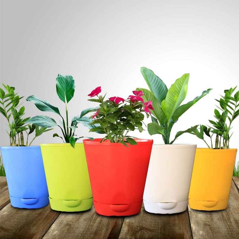 TrustBasket Titan Self Watering Pots | 5.5 x 5.9 in | Smart Plastic Planters for Indoor & Outdoor