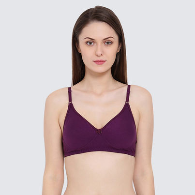 Clovia Women Non-Padded Non-Wired Full Coverage T-Shirt Bra - Blue, Lavender | 34C