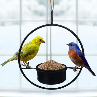 TrustBasket Bird Feeder, Hanging Metal Feeder for Balcony,Home,Indoor and Outdoor(Black)