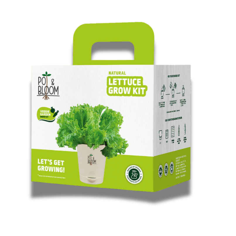 Pot And Bloom Lettuce Kit Pot And Bloom Lettuce Kit