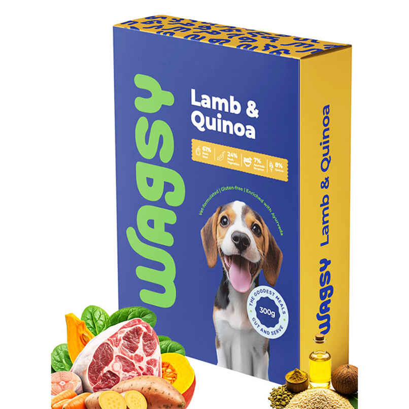 Wagsy - Lamb & Quinoa | Fresh Wet FOOD For Dogs Wagsy - Lamb & Quinoa | Fresh Wet FOOD For Dogs
