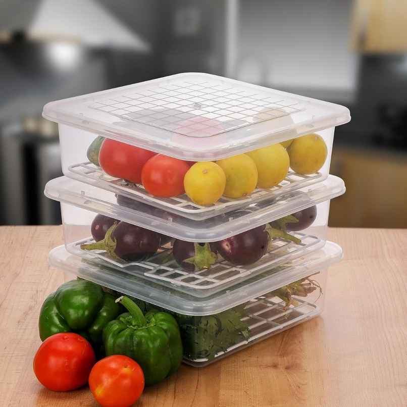 ReeQ Fridge Storage Box Large Vegetable and Fruit Organizer with Lid - 2 L