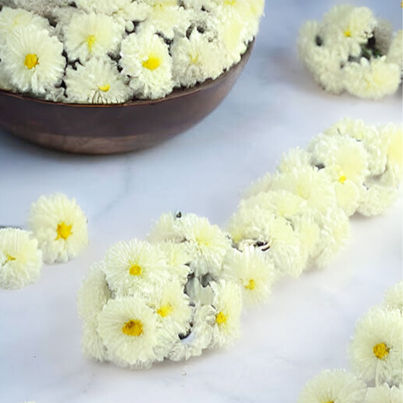 Chrysanthemum Flower String