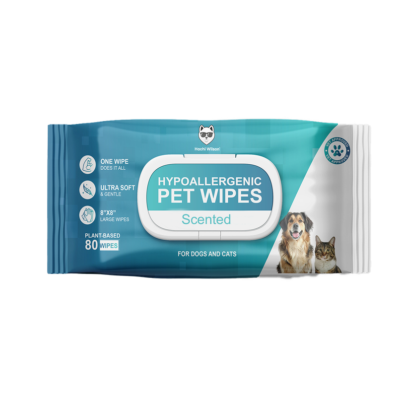 Hachi Wilson Premium Plant Based Pet Wipes (Dog/Cat) , Extra 25% Bigger Size | 80 Pulls Per Pack