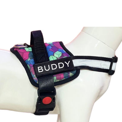 Payton Perry Dog Vest Harness | Choke-Free | Adjustable | L | Blue-Diamond | For 24-35 kg Pet