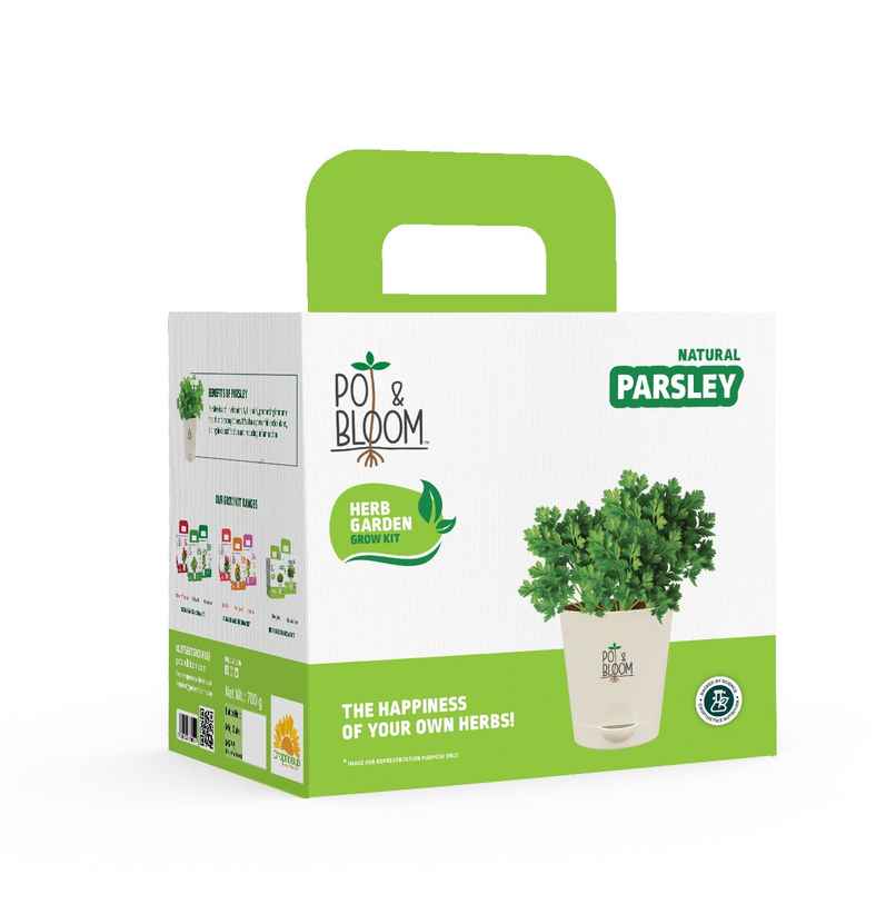 Pot And Bloom Parsley Kit
