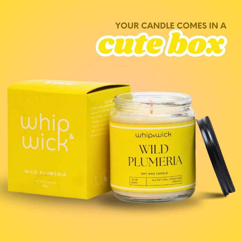 Whipand Wick Wild Plumeria Scented Candle