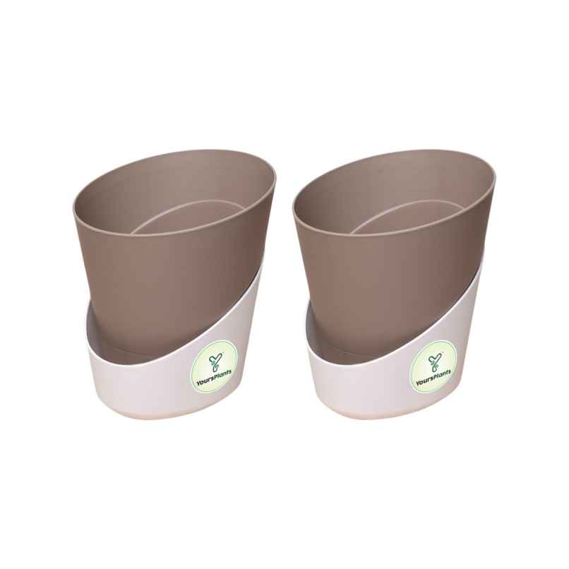 Yoursplants Atlantis - 4 Inch Mocca Pot | Pack Of 2