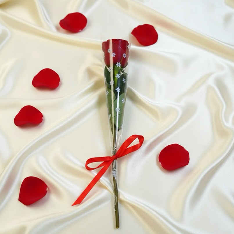 Valentine Special | Bloom Single Stem Rose Valentine Special | Bloom Single Stem Rose