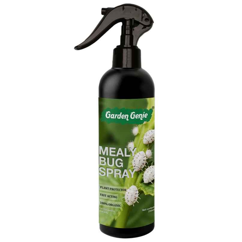 Garden Genie Mealy Bug Spray | Organic Pesticide Plant Spray for Mealy Bug on Plants Garden Genie Mealy Bug Spray | Organic Pesticide Plant Spray for Mealy Bug on Plants