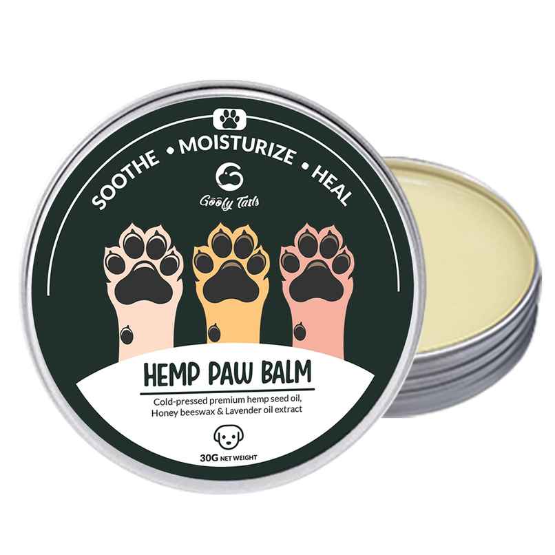 Goofy Tails Hemp Paw Balm Dog