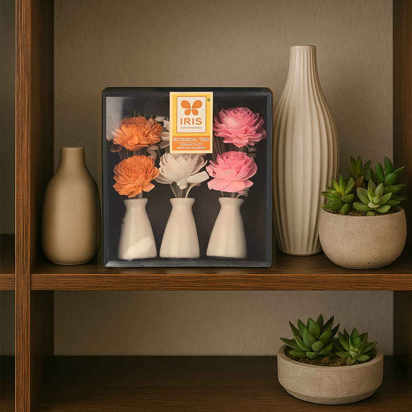 IRIS Botanical Trio Ceramic Vase With Dry Flowers Potpourri Decor