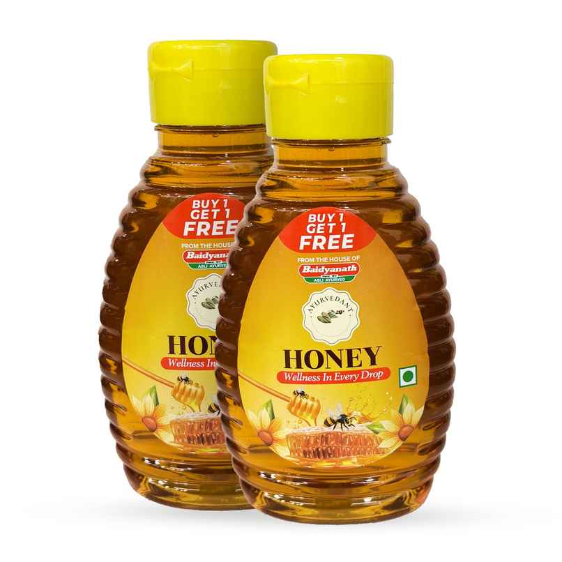 Baidyanath Ayurvedant Honey Squeeze Pack | BUY 1 GET 1 FREE