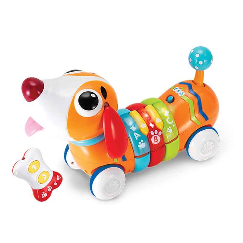 WinFun Walk with Me Puppy, Remote Control Rainbow Puppy for Kids, 18M+