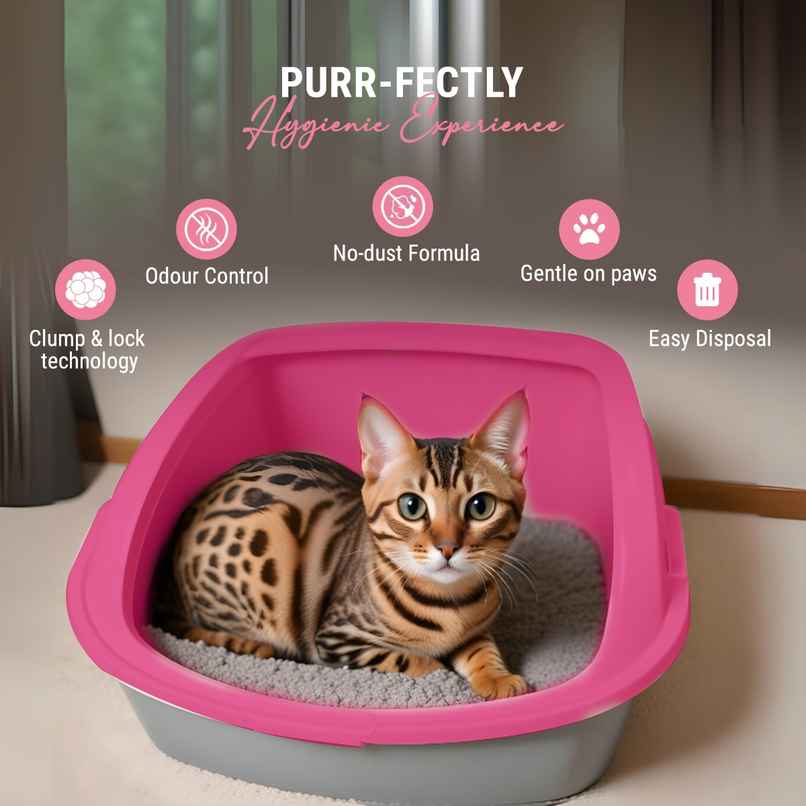 Petoska Activated Cat Litter - Rose
