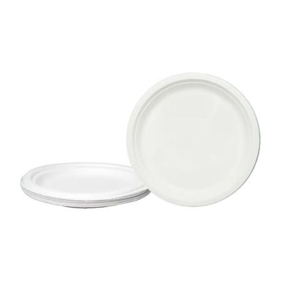 Naturepac Bagasse Plate 7 Inch Round | 25 Pcs