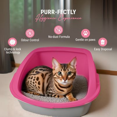 Petoska Activated Cat Litter - Rose