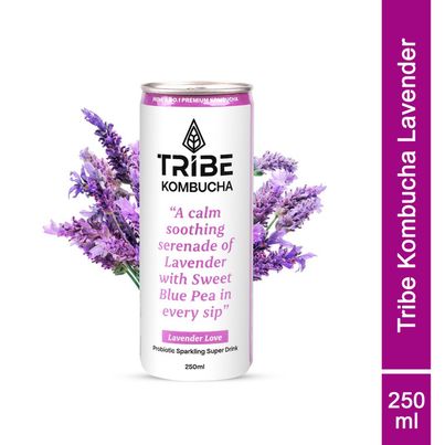 Tribe Kombucha Lavender Naturally Sparkling Probiotic Super Drink | Gut Friendly