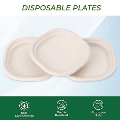 Naturepac Bagasse Plate 7 Inch Square | 25 Pcs