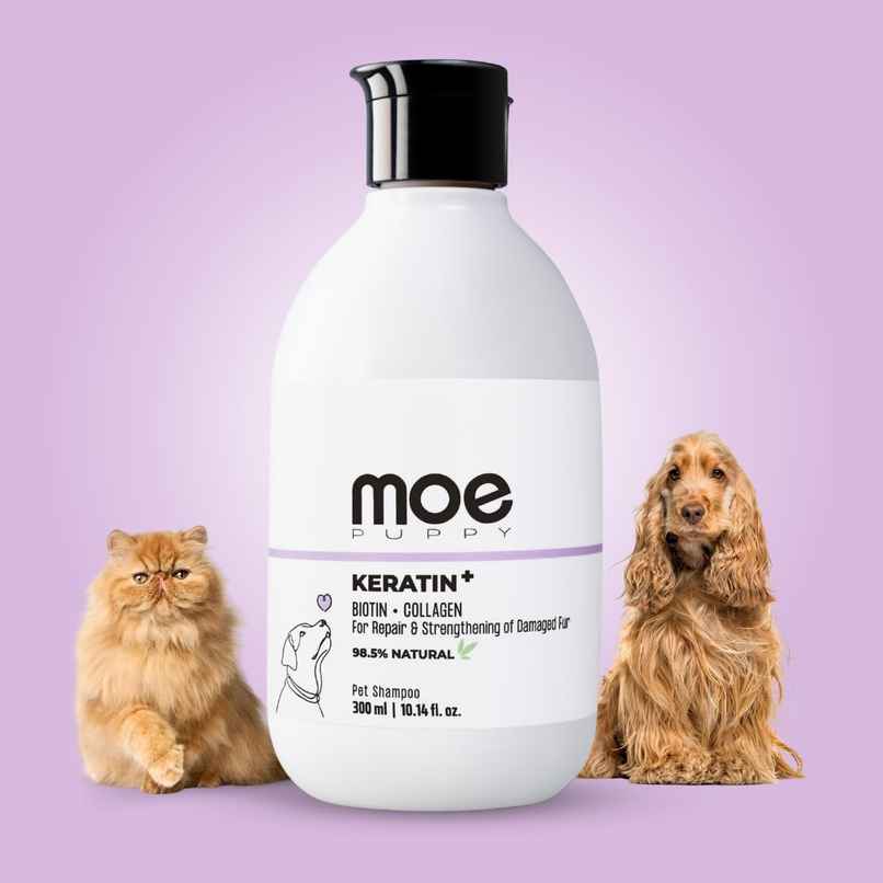 Moe Puppy Keratin+ Shampoo