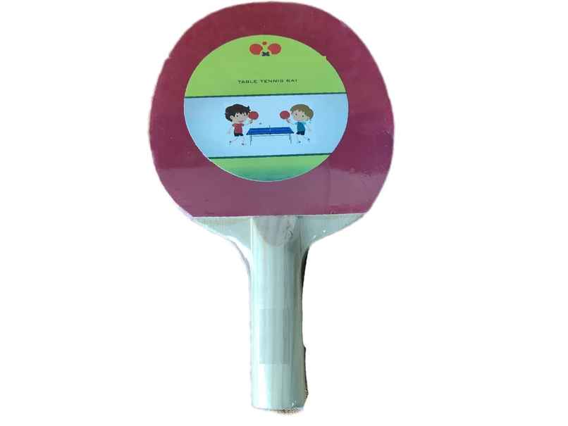 Zike 1 Star Table Tennis Racket - PO1