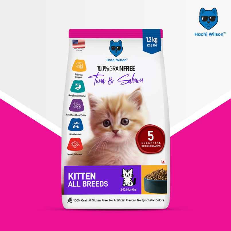 Hachi Wilson Premium Kitten Dry Food | Tuna and Salmon Flavours