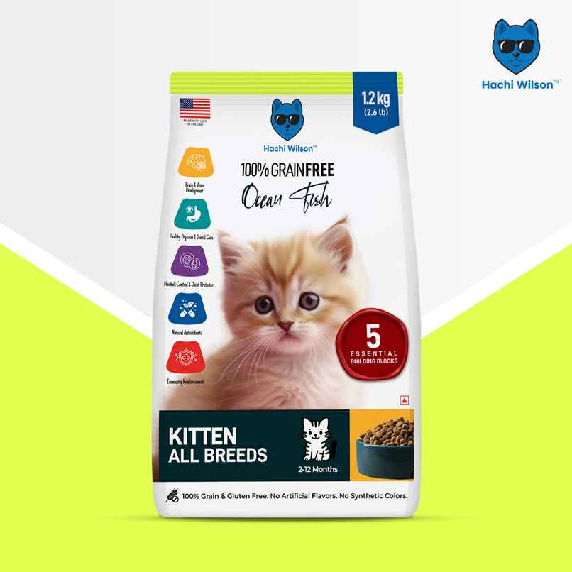 Hachi Wilson Premium Kitten Dry Food | Ocean Fish Flavours