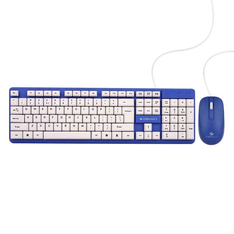 Zebronics JUDWAA 541 USB Keyboard and Mouse Set for Computers & Laptops with 1200 DPI | Blue